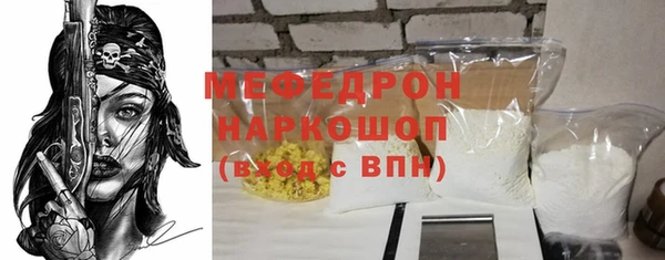 крисы Бородино