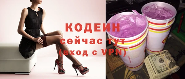 крисы Бородино