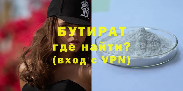 крисы Бородино