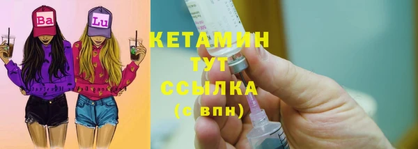 крисы Бородино