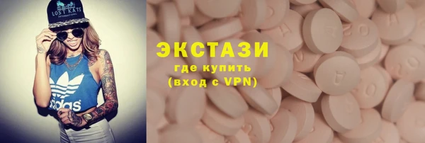 крисы Бородино