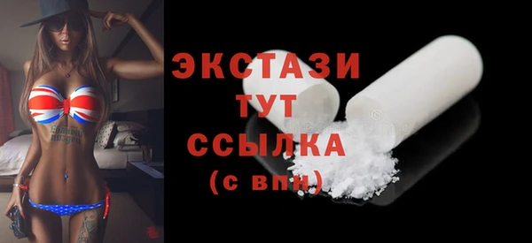 крисы Бородино