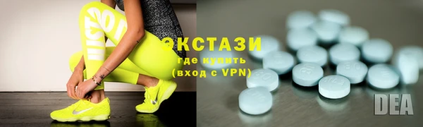 крисы Бородино