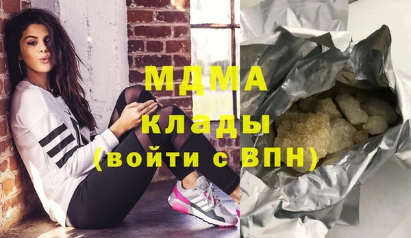 крисы Бородино