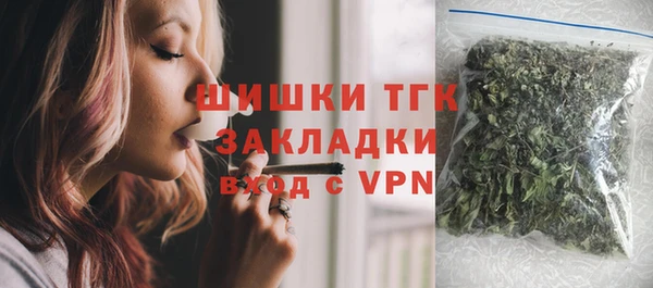 крисы Бородино