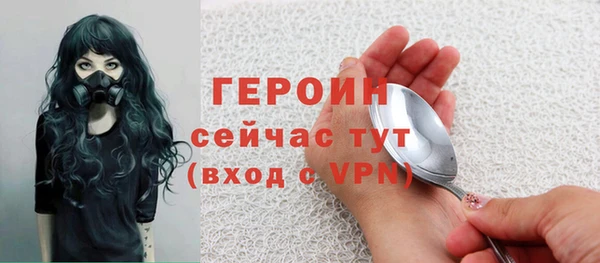 крисы Бородино