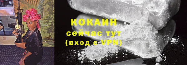 соль ск Богородск