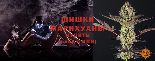 крисы Бородино